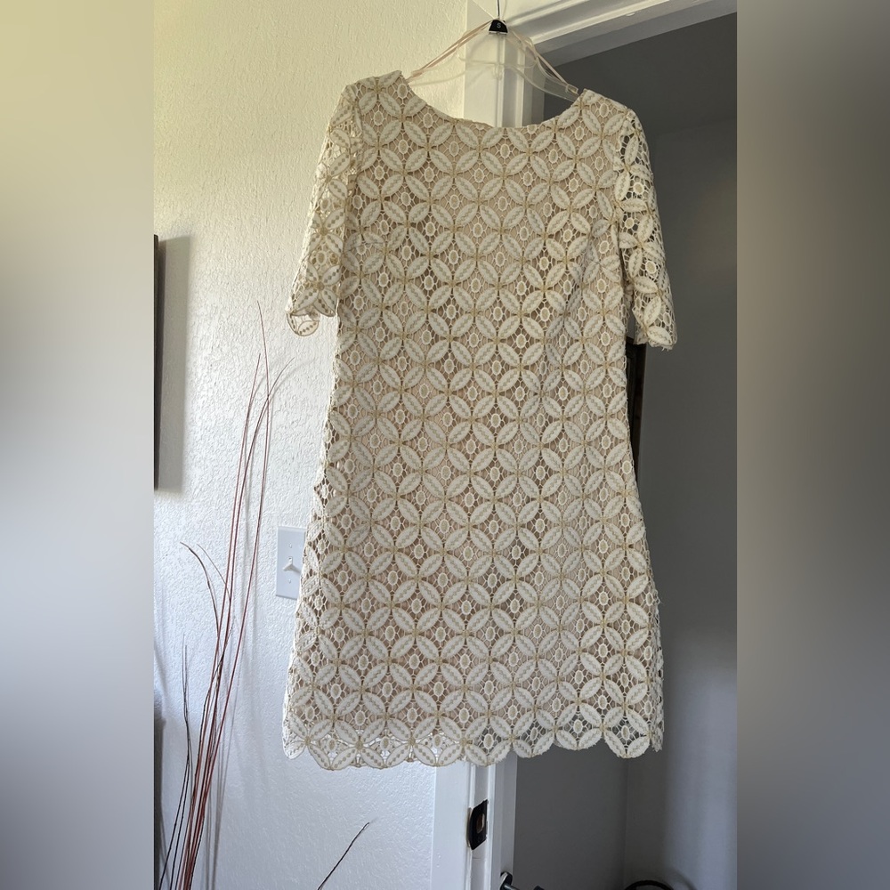 Elegant Cream Lace Dress